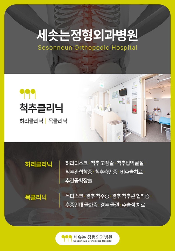 세솟는정형외과병원 척추클리닉 안내 — 허리클리닉은 허리디스크·척추 고정술·척추압박골절·척추관협착증·척추측만증·비수술치료·추간공확장술을, 목클리닉은 목디스크·경추 척수증·경추 척추관 협착증·후종인대 골화증·경추 골절·수술적 치료를 다룬다는 진료 범위 안내